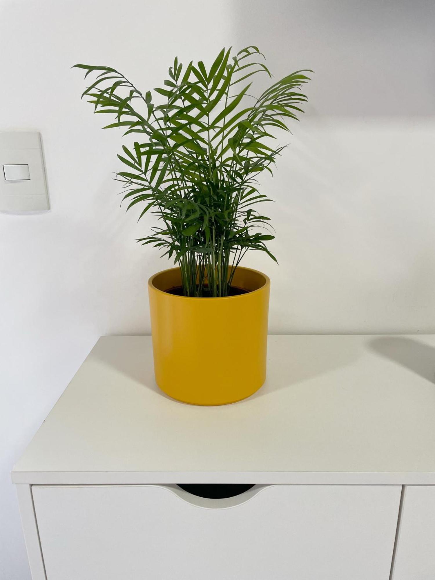 Apartamento Minimalist New *